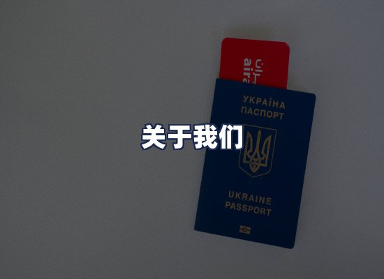 关于我们