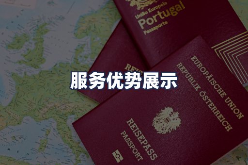 服务优势展示